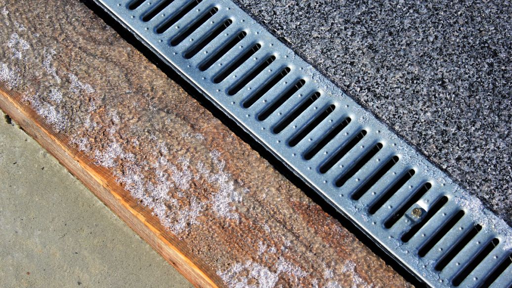 線性排水溝花草能通過瓶口吸收水分